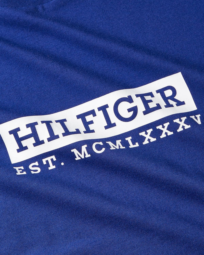 Tommy Hilfiger mens COLOUR TO COLOUR GRAPHIC TEE S/S T-Shirt