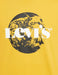 Levi's Men's Regular T-Shirt (16960-0786_Black Beauty L)