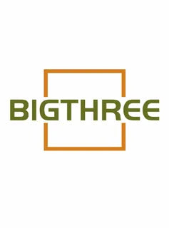 BIGTHREE logo