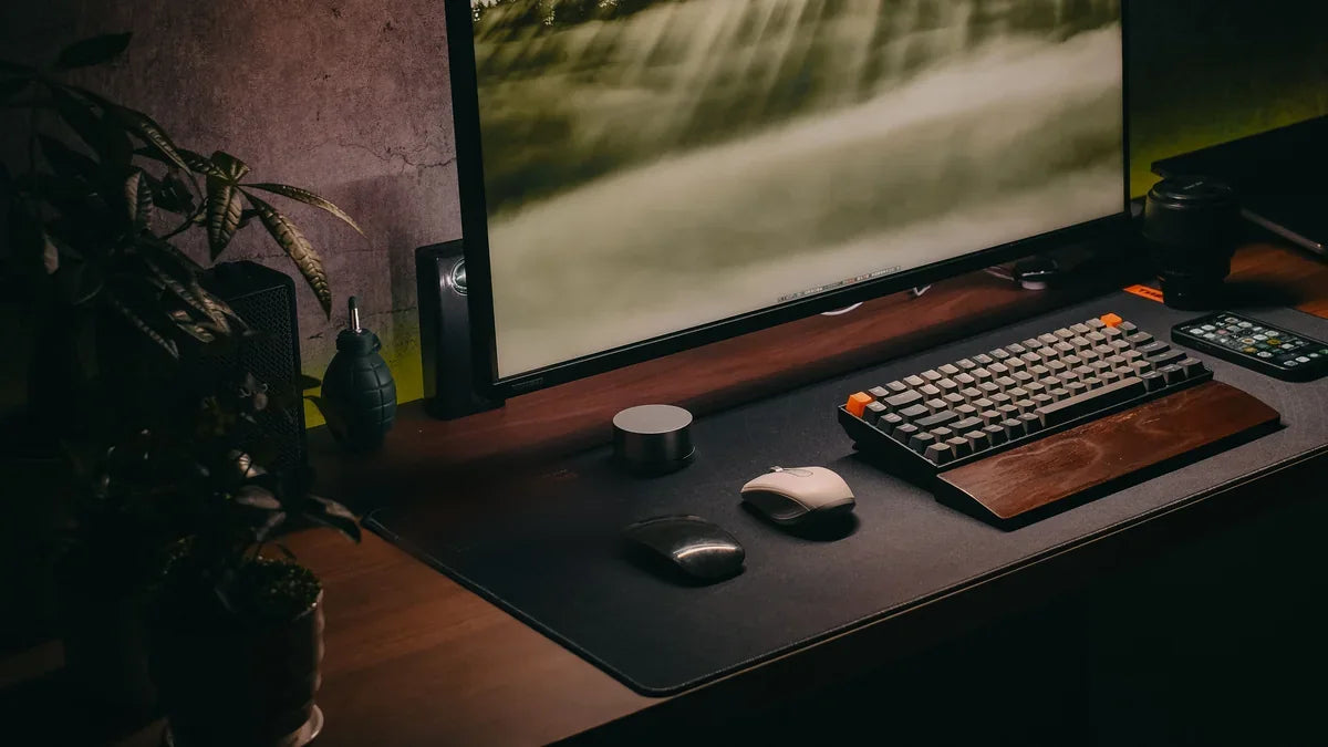 Computer Accessories